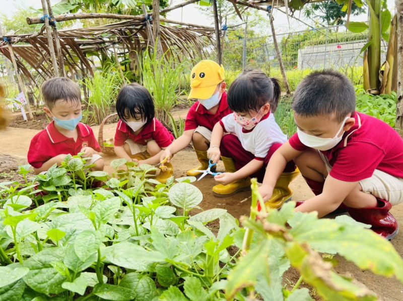 Kỹ năng bảo vệ môi trường và yêu thương động vật giúp bé phát triển ý thức trách nhiệm